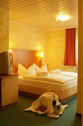 Hotel Wilder Mann Aschaffenburg